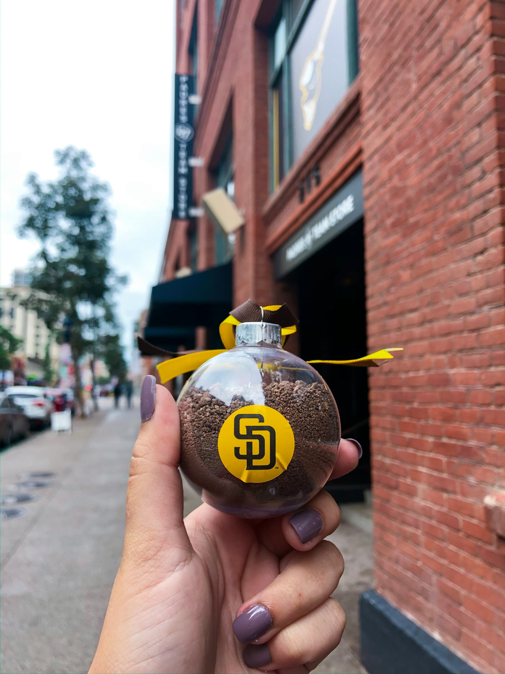 Christmas Ornament